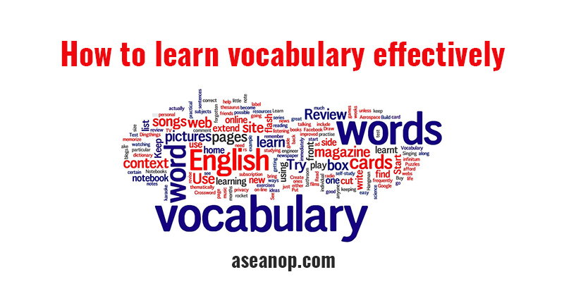 why learning vocabulary is important