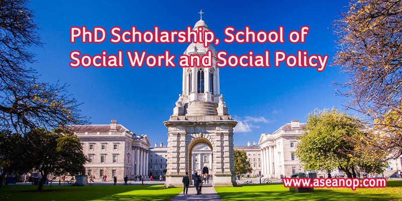 phd education and social policy