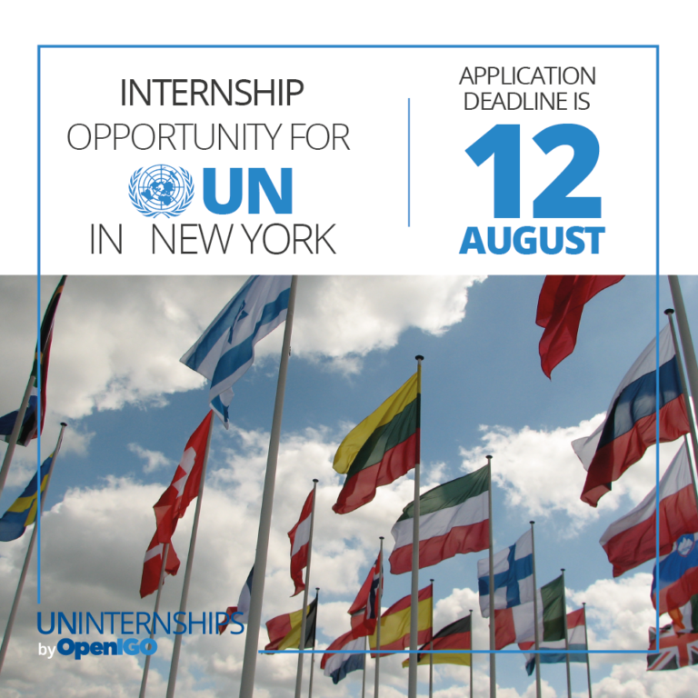 Internship opportunity with UN in New York, USA ASEAN Scholarships