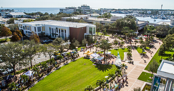 University of south florida. Южно-Флоридский университет. University of South Florida Tampa Campus. University of South Florida, университет University of South Florida химическая инженерия. Южный колледж Флориды.