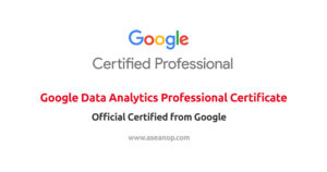 Google Data Analytics Professional Certificate - ASEAN Scholarships