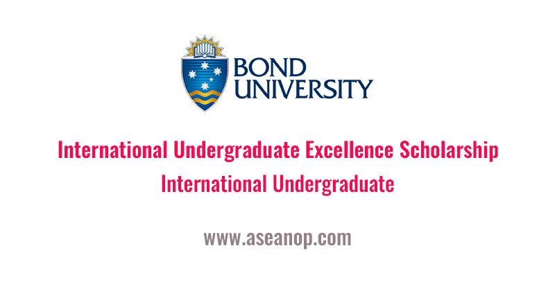International Undergraduate Excellence Scholarship