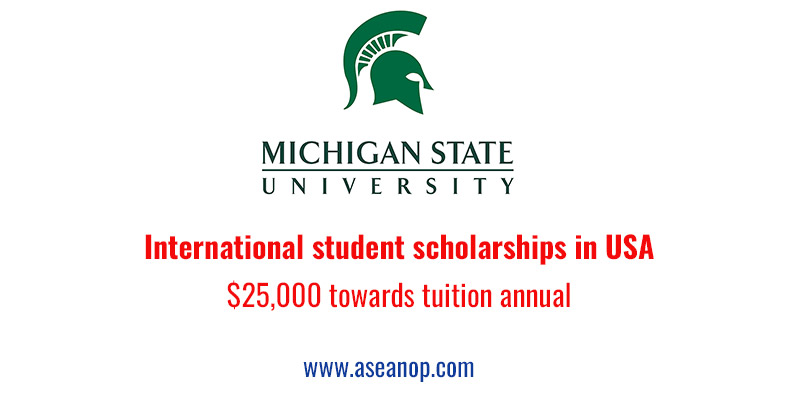 Michigan State University International Student Scholarships In USA ...