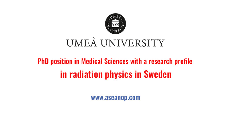 phd position in medical imaging 2023