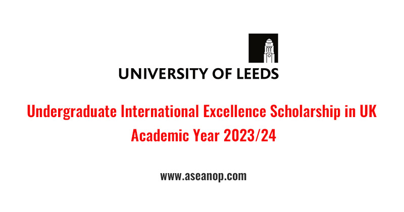 Undergraduate International Excellence Scholarship in UK