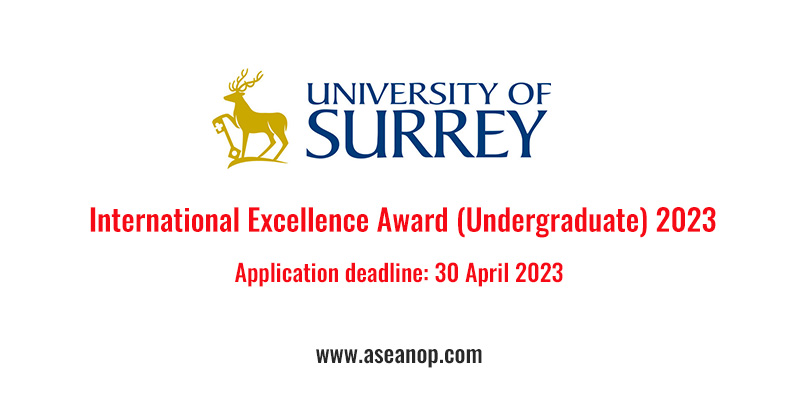 International Excellence Award Undergraduate 2023 