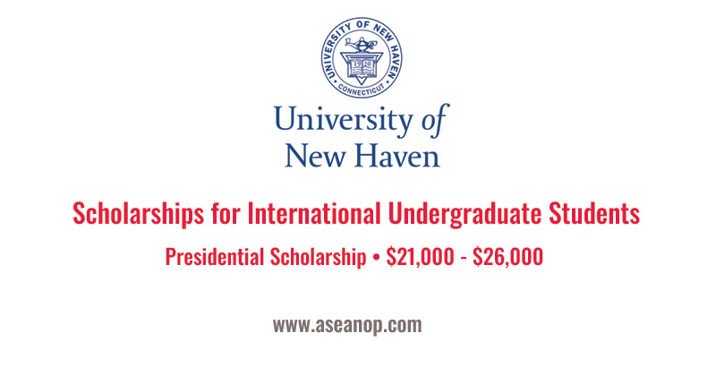 Scholarships for International Undergraduate Students