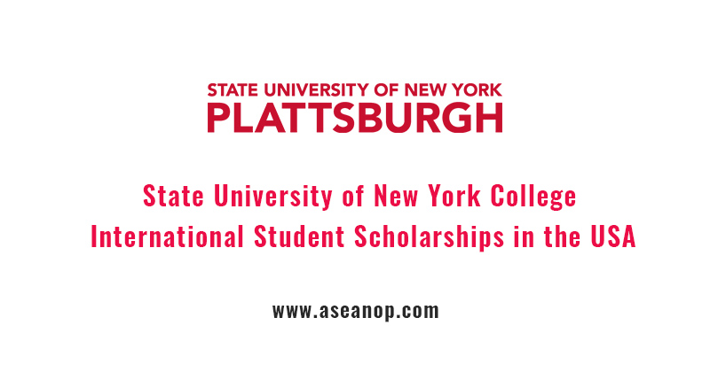 State University of New York College