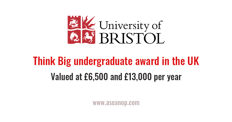 Think Big undergraduate award in the UK