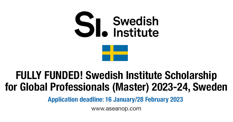 sweden institute scholarship        
        <figure class=