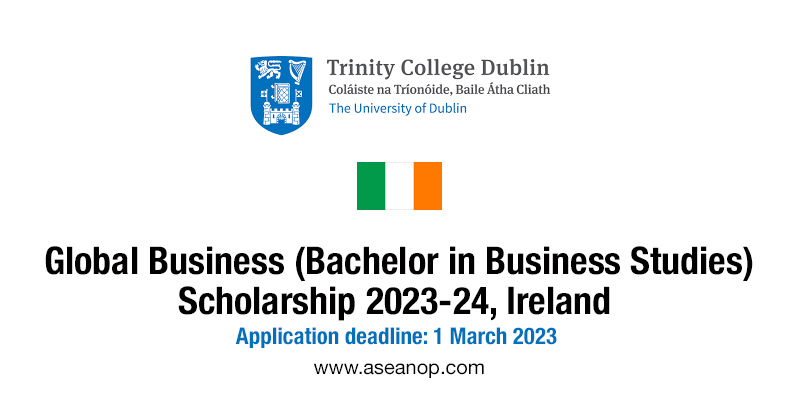 2023 24 global business scholarship ireland